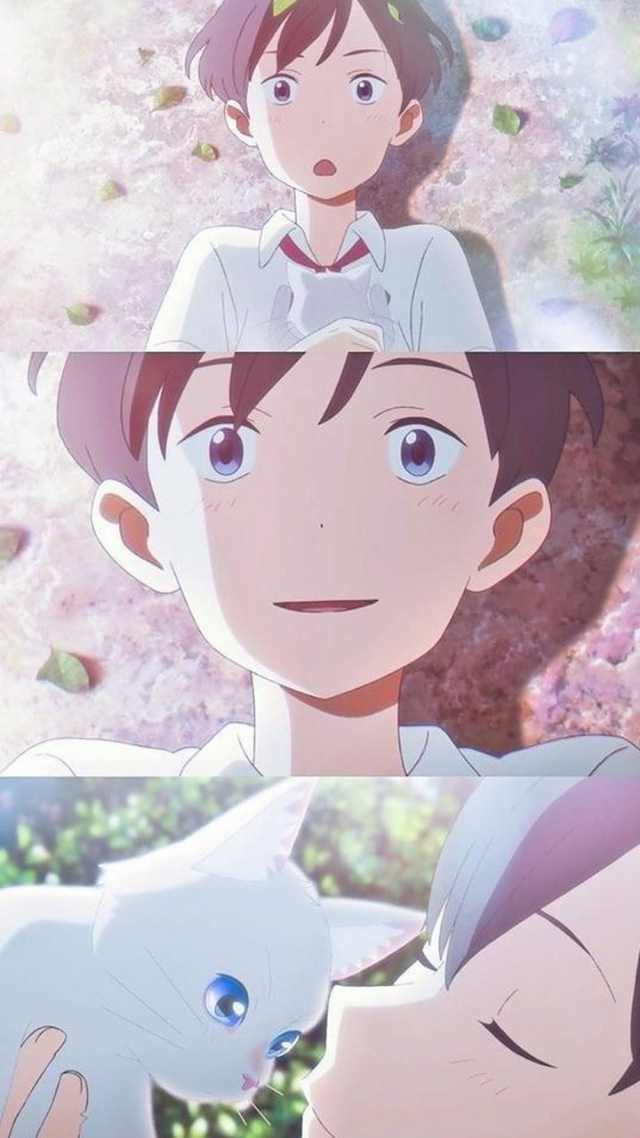 Обои уберите Хиноде и Таро, Миё Сасаки, мультик, Кенто Хиноде, мультфильм в разрешении 720x1280