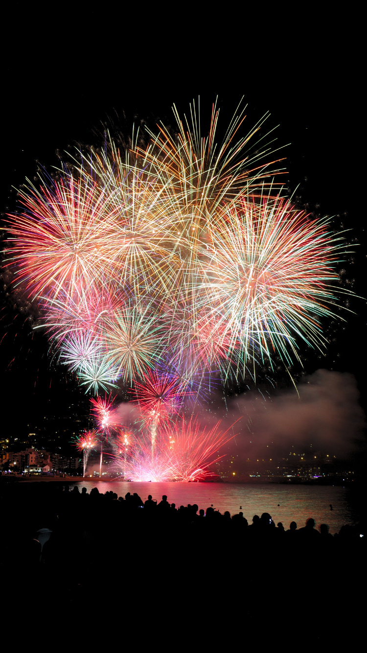 Обои салют, вечеринка, природа, день нового года, ночь в разрешении 750x1334