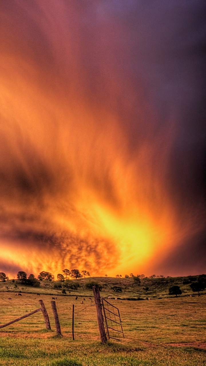 Обои закат, облако, дерево, сельский район, послесвечение в разрешении 720x1280