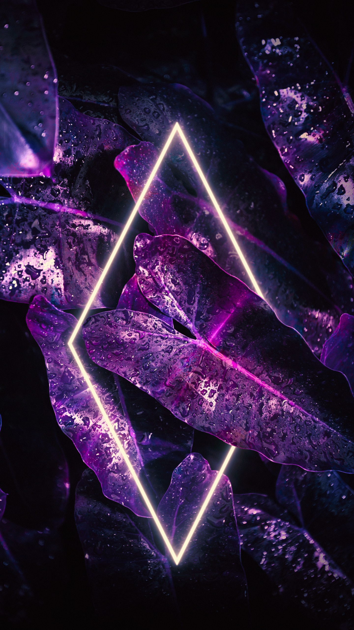 Обои свет, смартфон, пурпур, Фиолетовый, треугольник в разрешении 1440x2560