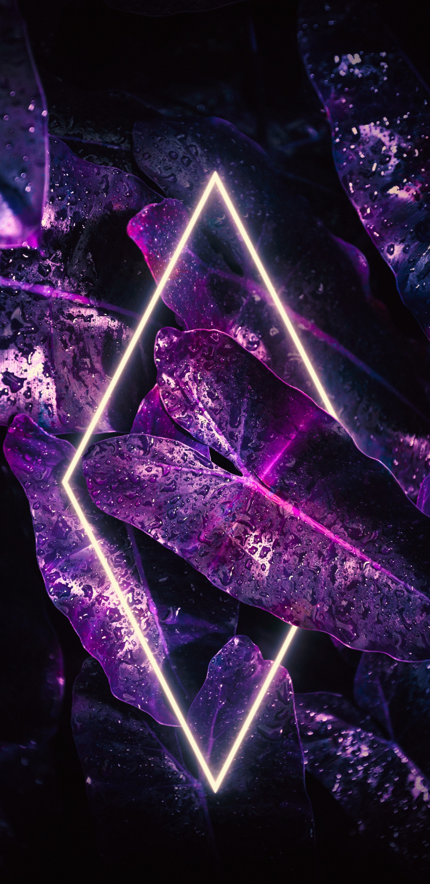 Обои свет, смартфон, пурпур, Фиолетовый, треугольник в разрешении 1440x2960