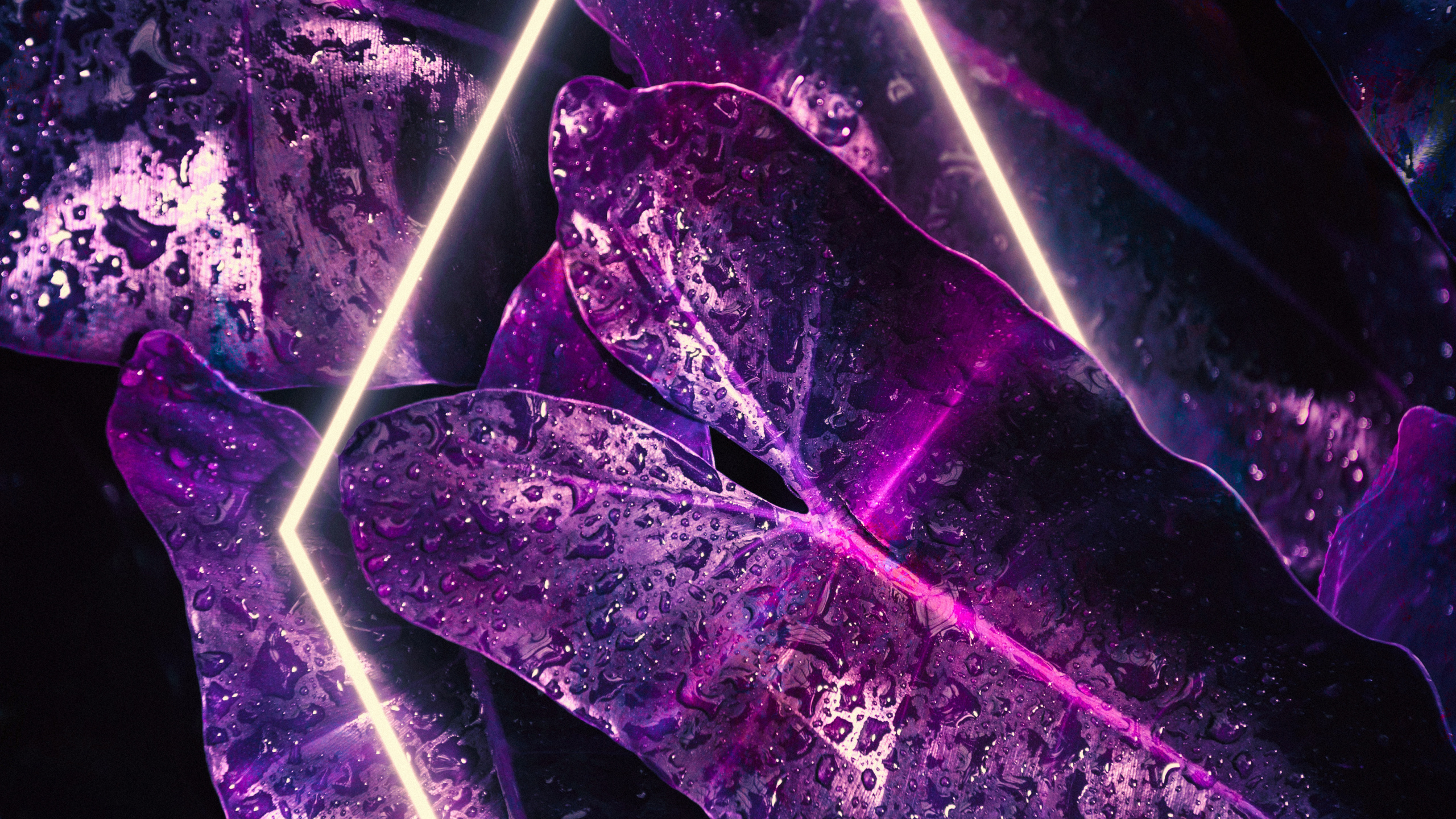 Обои свет, смартфон, пурпур, Фиолетовый, треугольник в разрешении 2560x1440