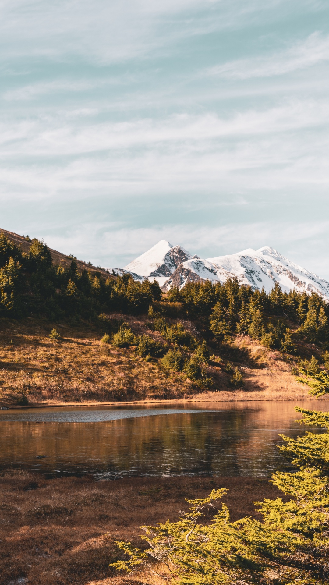 Обои природа, нагорье, дикая местность, отражение, растительность в разрешении 1080x1920