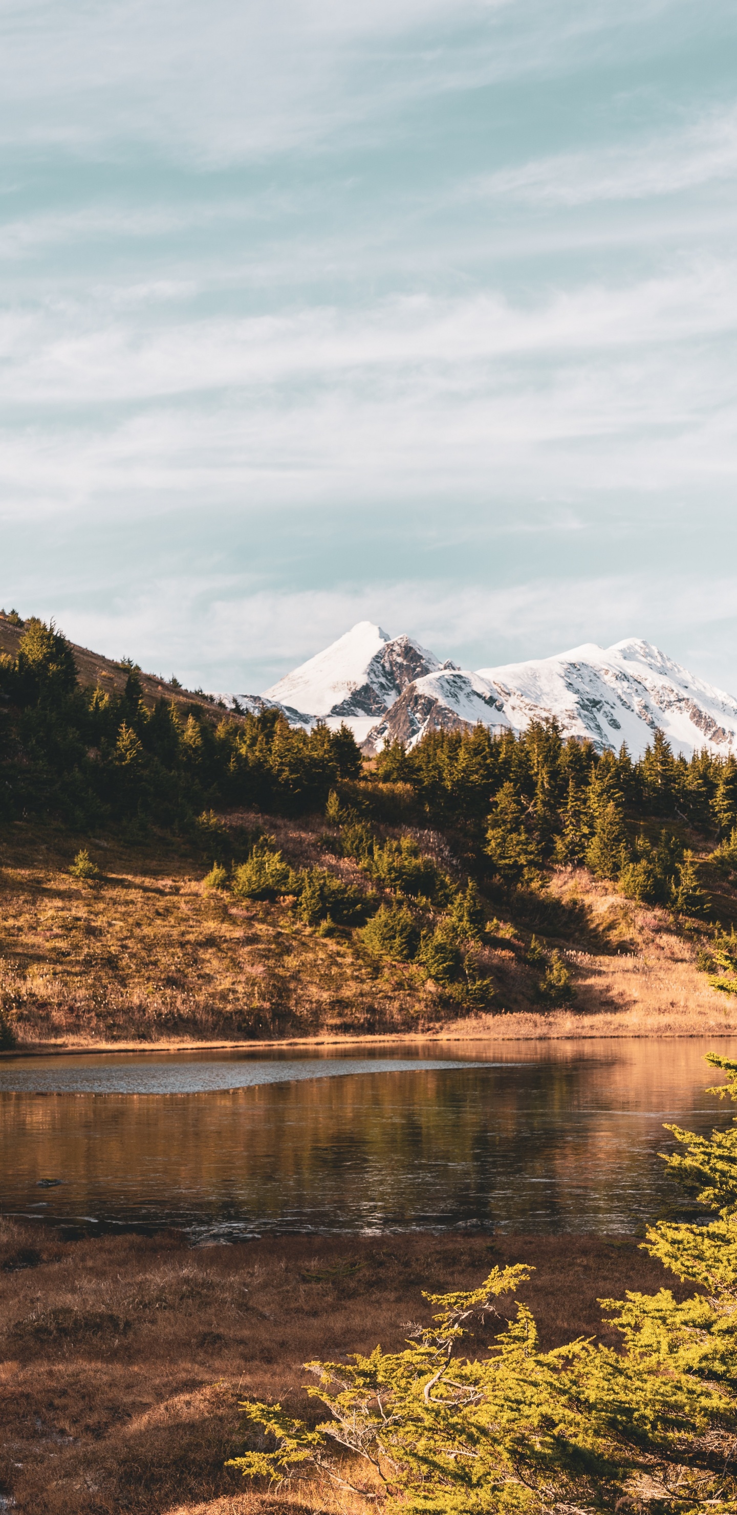 Обои природа, нагорье, дикая местность, отражение, растительность в разрешении 1440x2960
