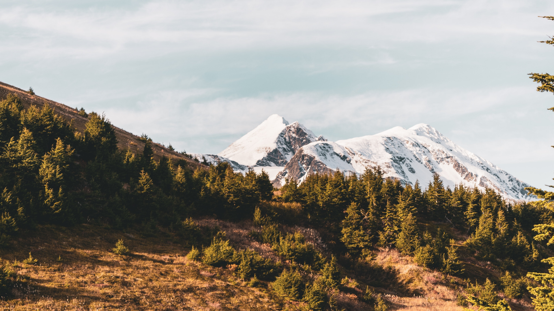 Обои природа, нагорье, дикая местность, отражение, растительность в разрешении 1920x1080