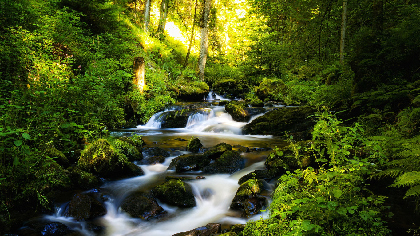 Обои водоем, природный ландшафт, природа, поток, водоток в разрешении 1366x768
