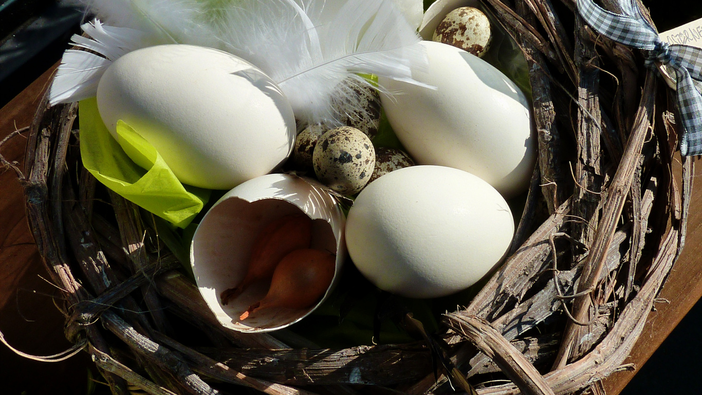 Обои пасхальное яйцо, яйцо, птичье гнездо, растение, пища в разрешении 1366x768