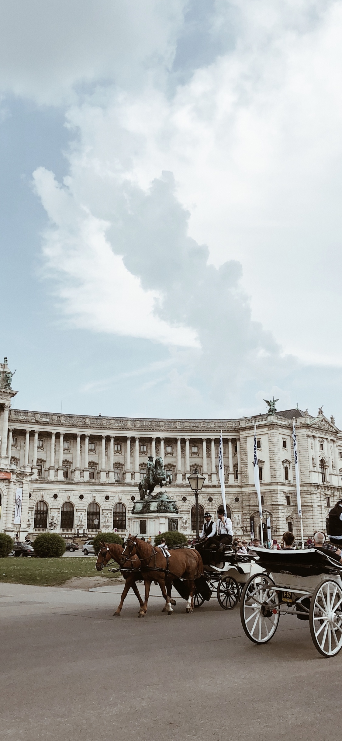 Обои Императорский дворец Хофбург, перевозка, конь, конская сбруя, лошадь и багги в разрешении 1125x2436