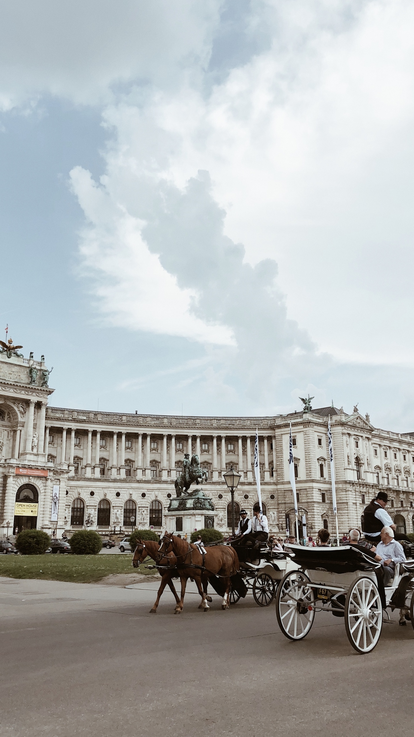 Обои Императорский дворец Хофбург, перевозка, конь, конская сбруя, лошадь и багги в разрешении 1440x2560