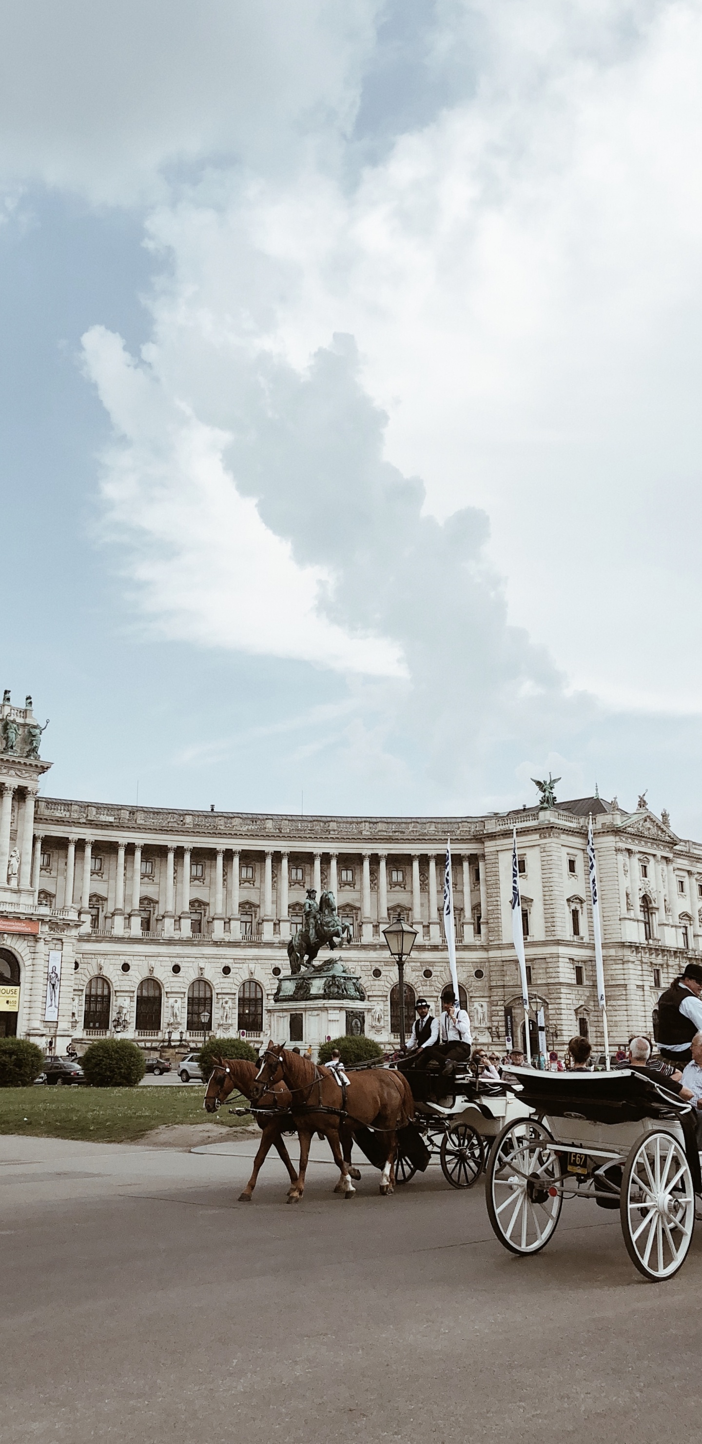 Обои Императорский дворец Хофбург, перевозка, конь, конская сбруя, лошадь и багги в разрешении 1440x2960