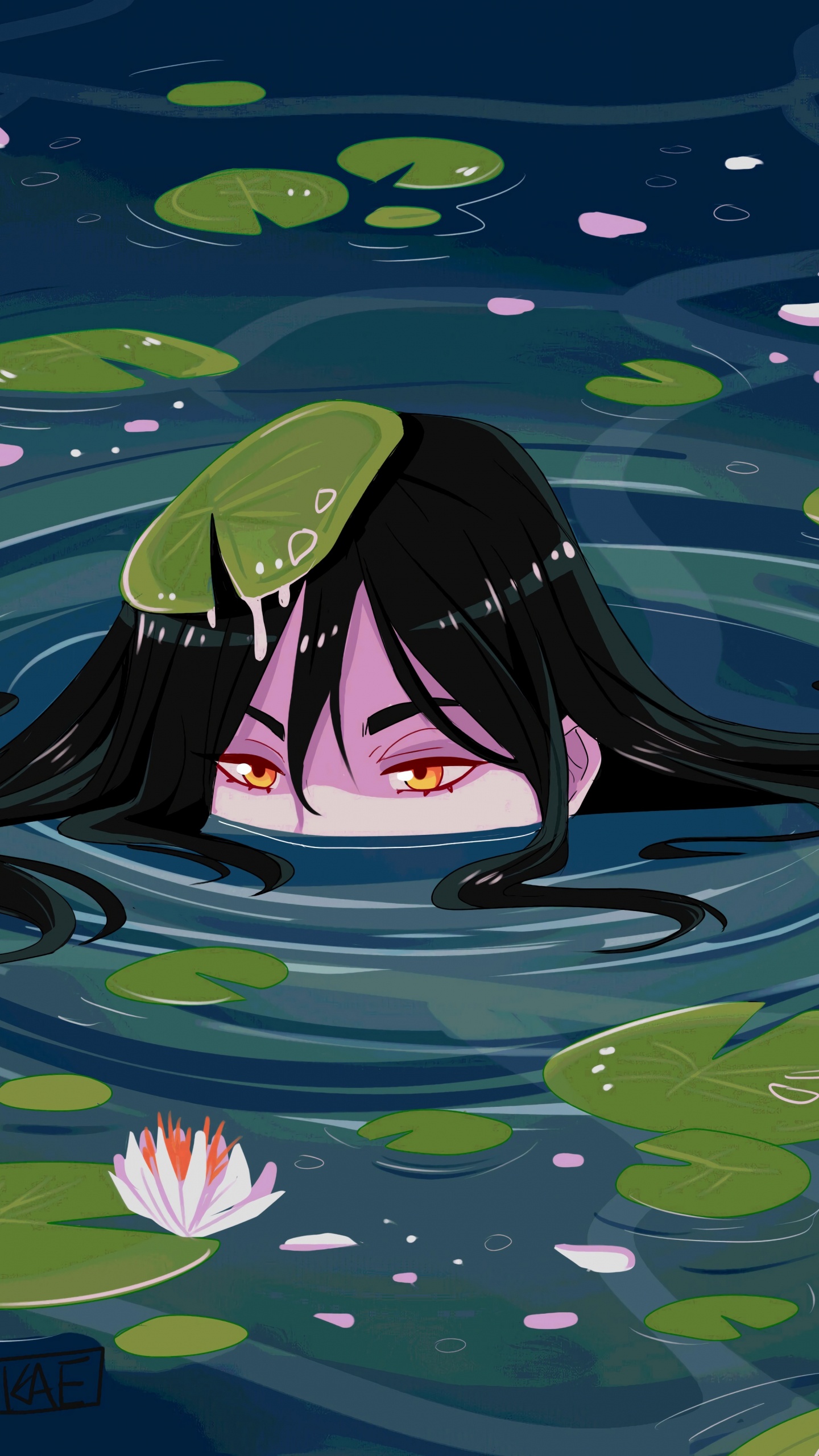 Обои водное растение, священный Лотос, лотоса семьи, вода, арт в разрешении 1440x2560