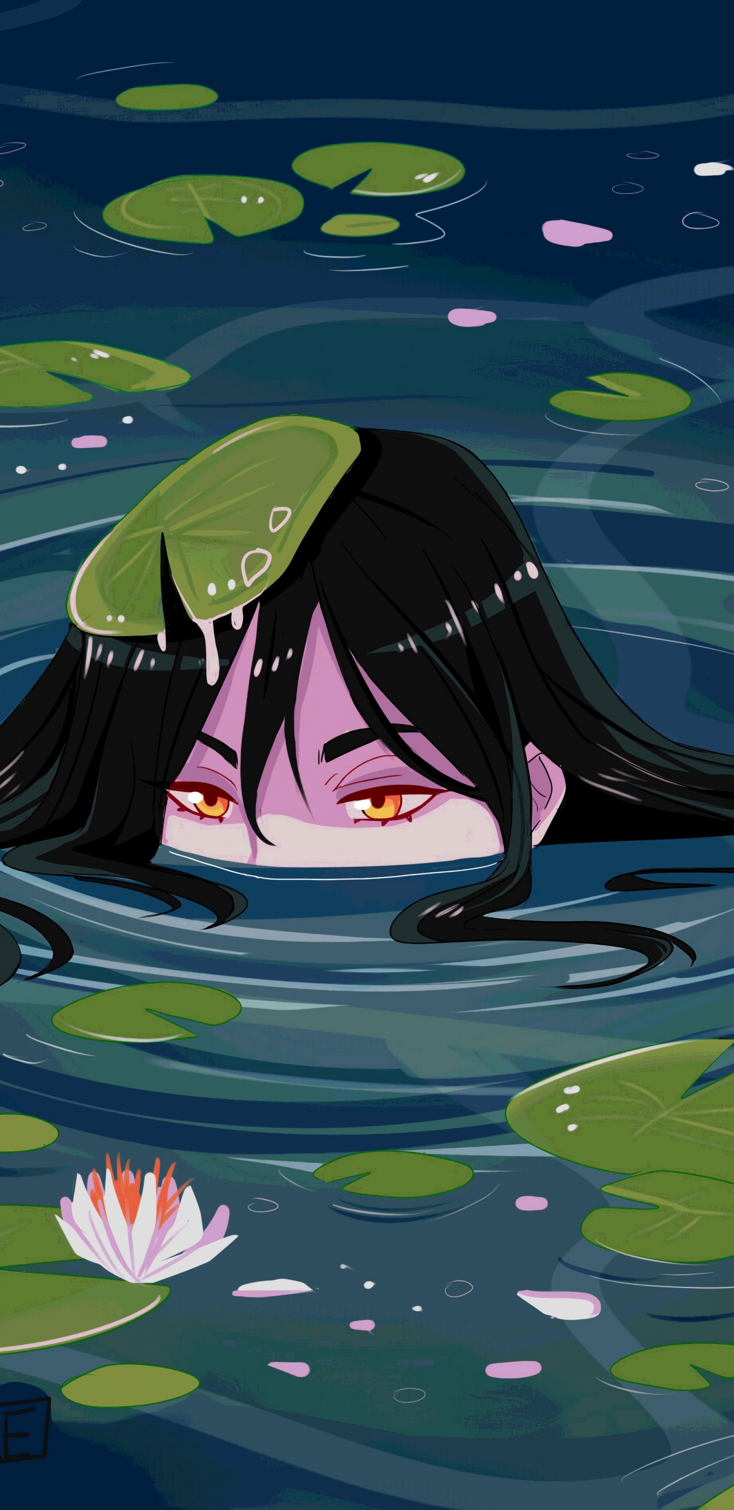 Обои водное растение, священный Лотос, лотоса семьи, вода, арт в разрешении 1440x2960