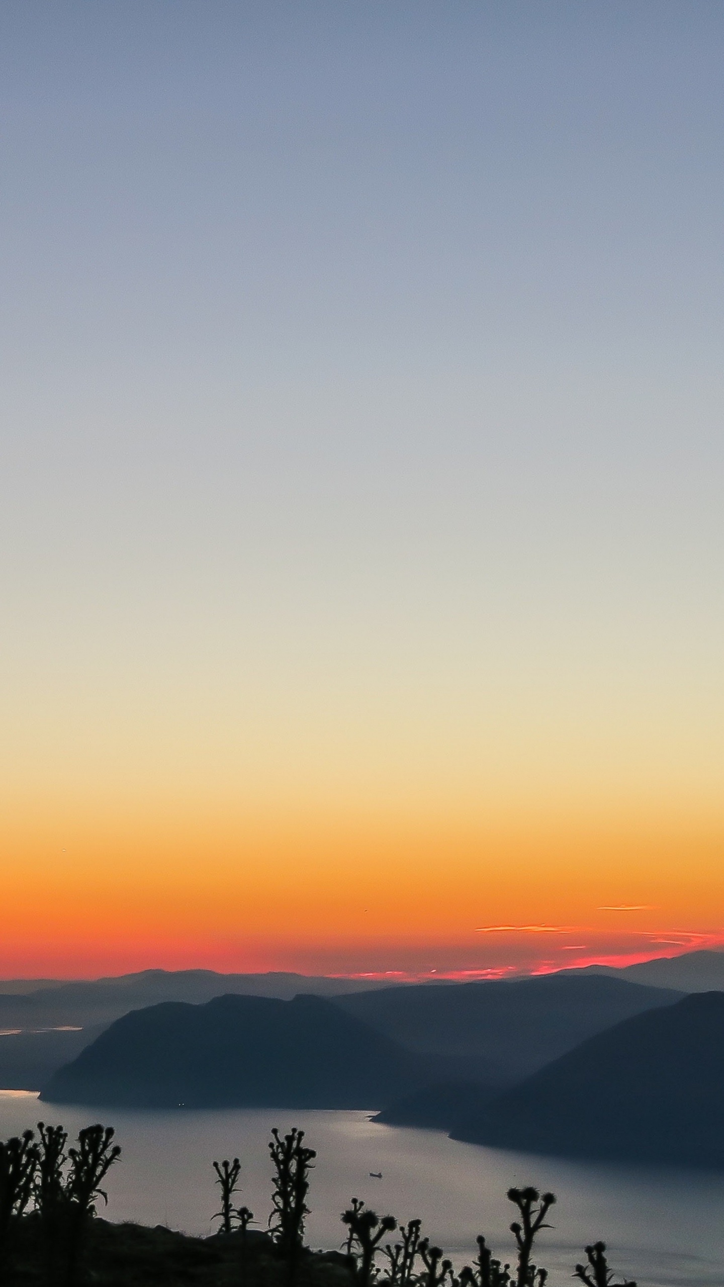 Обои apple, iPhone, iPhone X, яблоко, ios в разрешении 1440x2560