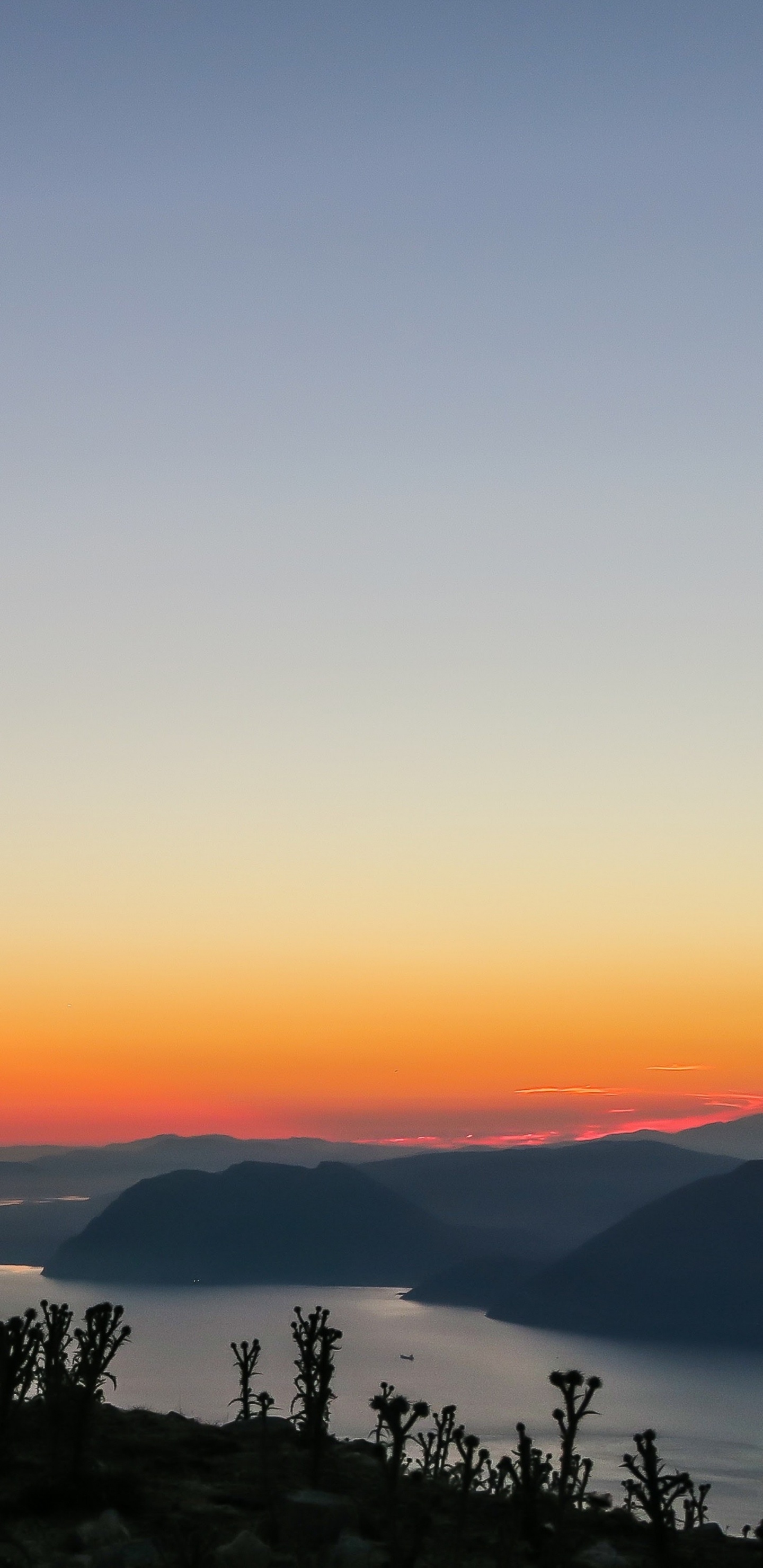 Обои apple, iPhone, iPhone X, яблоко, ios в разрешении 1440x2960