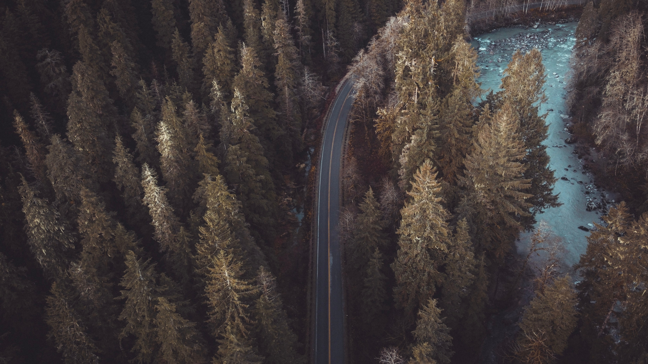 Обои отражение, Природа М, формирование, дерево, коричневый цвет в разрешении 2560x1440