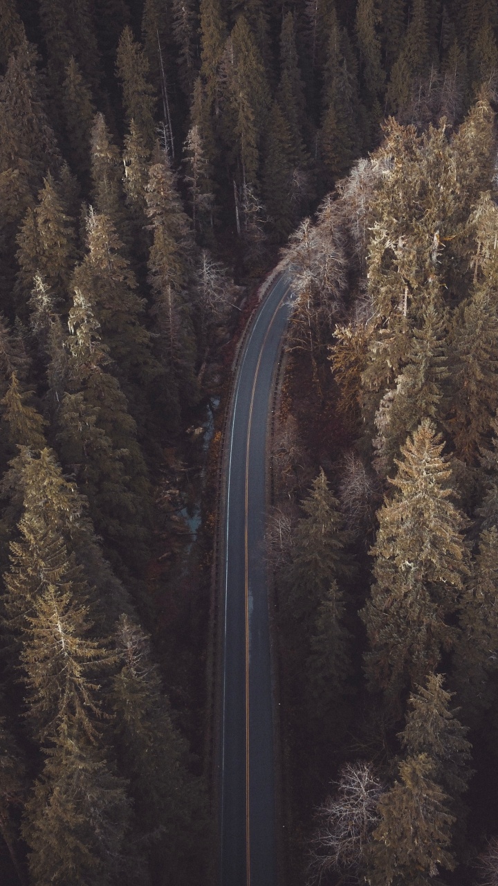 Обои отражение, Природа М, формирование, дерево, коричневый цвет в разрешении 720x1280