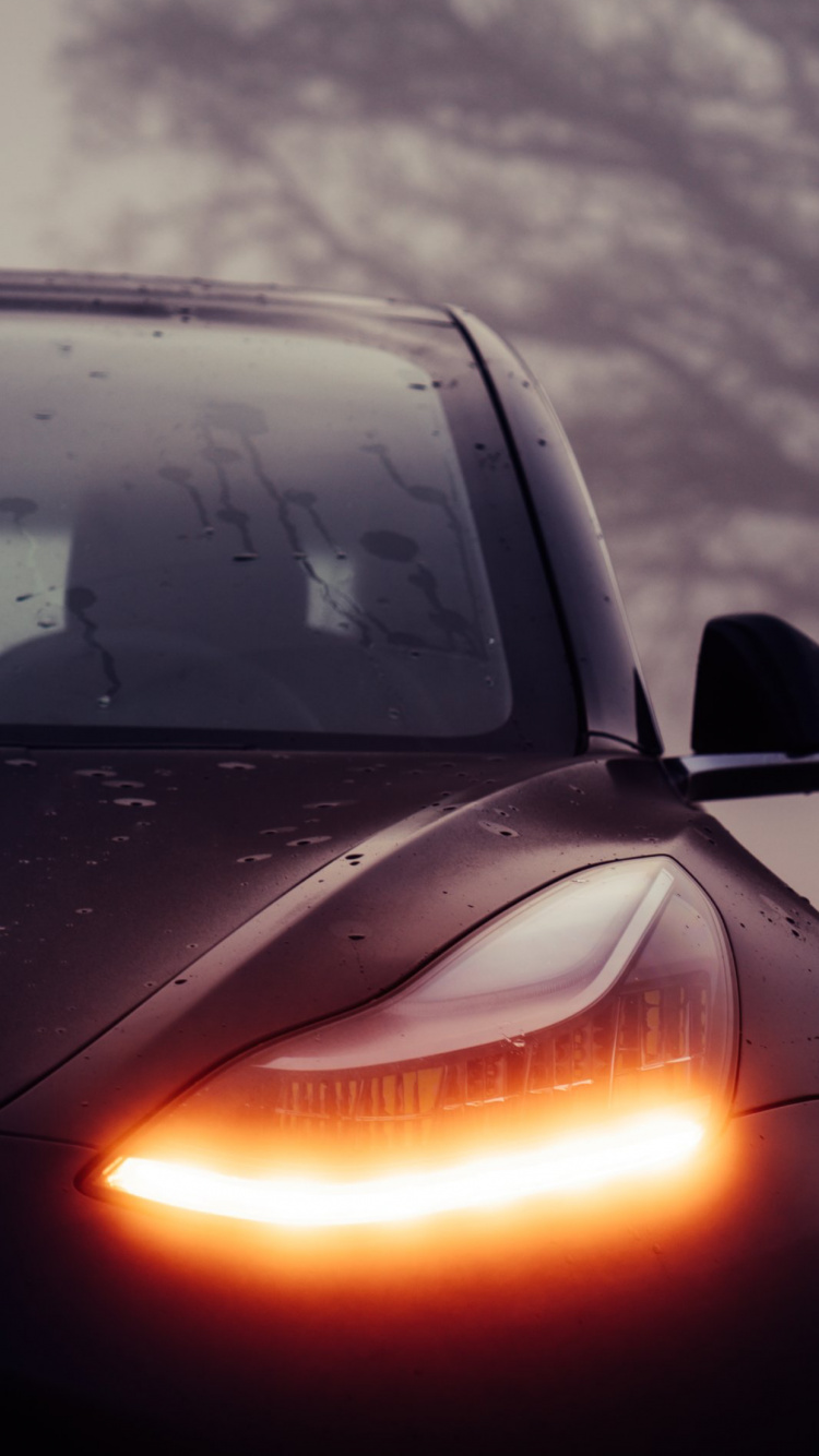 Обои Tesla Model 3, Tesla, Tesla Model 3 2019 года, Tesla Model S, Tesla Roadster в разрешении 750x1334