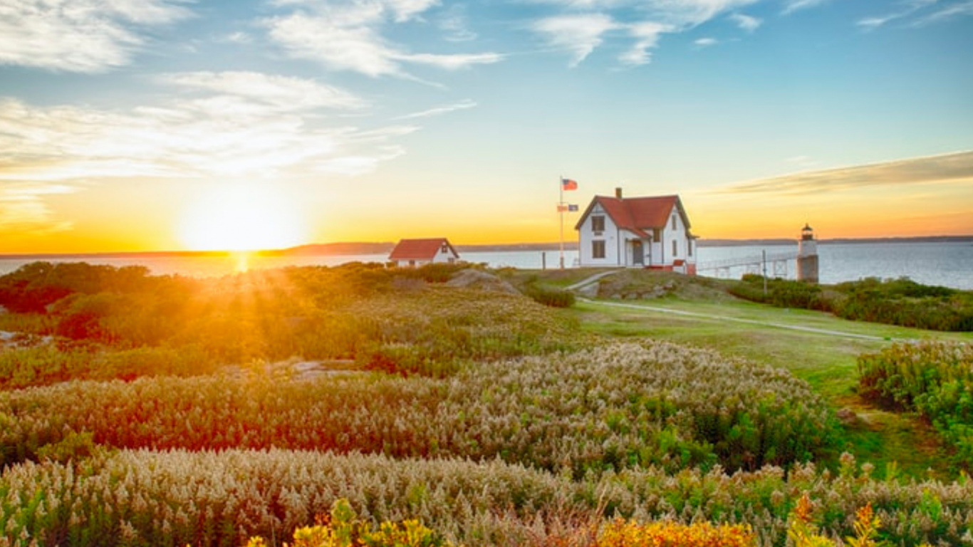 Обои поле, облако, растение, экорегион, цветок в разрешении 1366x768