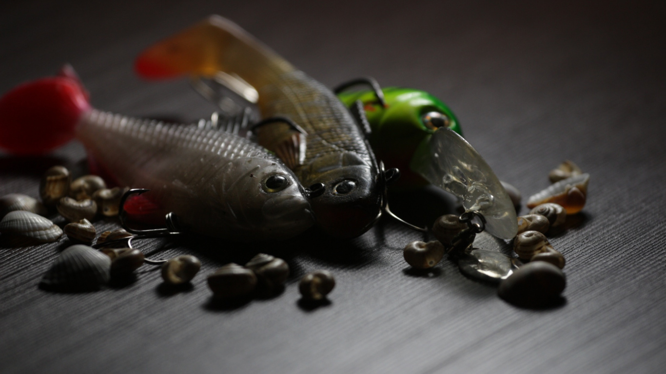 Обои рыбы, рыболовство, макросъемка в разрешении 1366x768