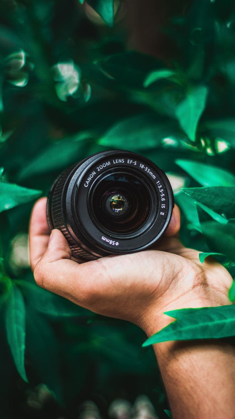 Обои зеленый, оптика камеры, камера, объектив, объектив камеры в разрешении 750x1334