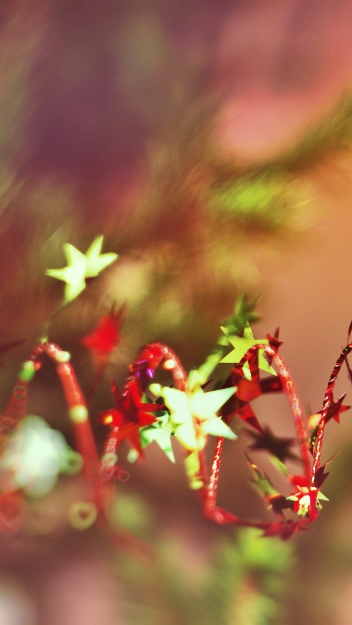 Обои Рождественский день, Новый год, праздник, красный цвет, лист в разрешении 720x1280