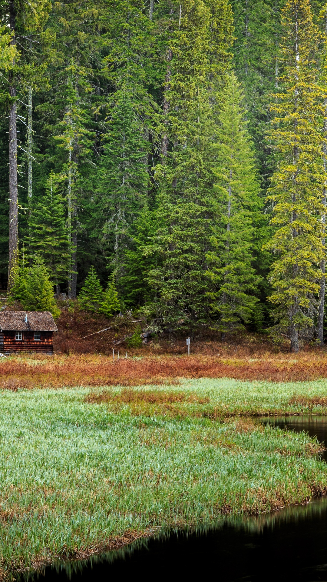 Обои природа, дикая местность, пейзаж, растение, вода в разрешении 1080x1920