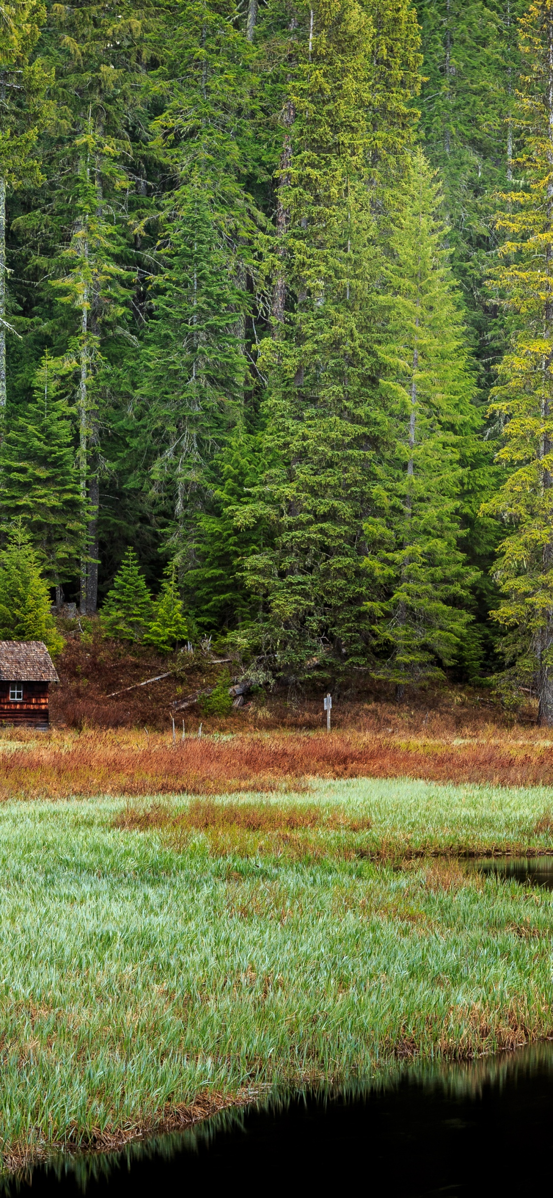 Обои природа, дикая местность, пейзаж, растение, вода в разрешении 1125x2436