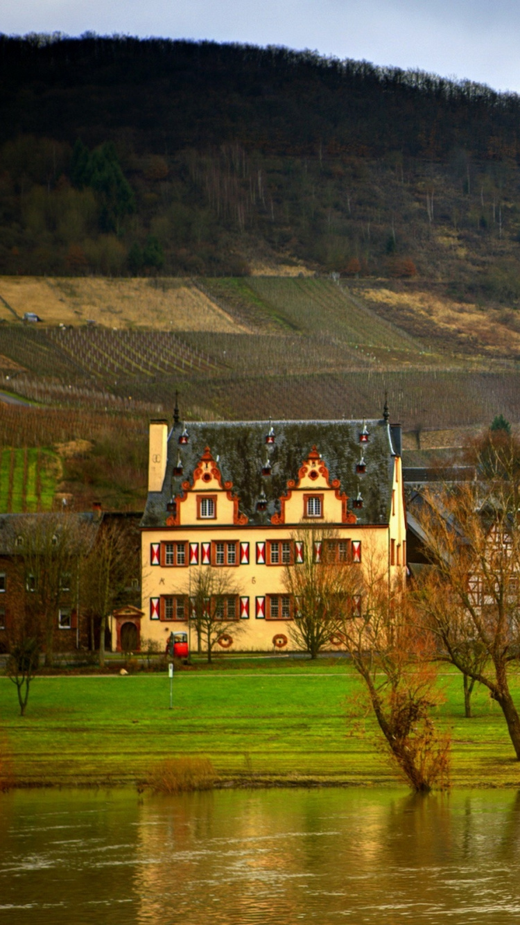 Обои природа, дерево, сельский район, вода, отражение в разрешении 750x1334