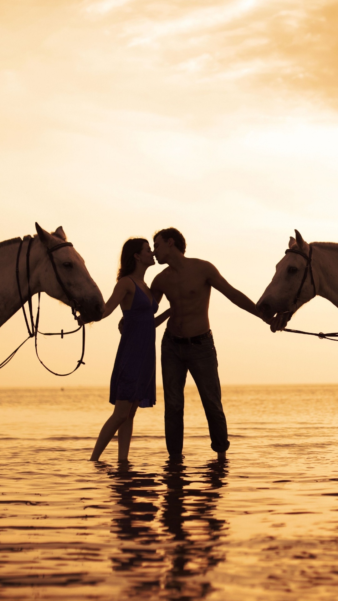 Обои конь, дружба, кобыла, жеребец, живая природа в разрешении 1080x1920