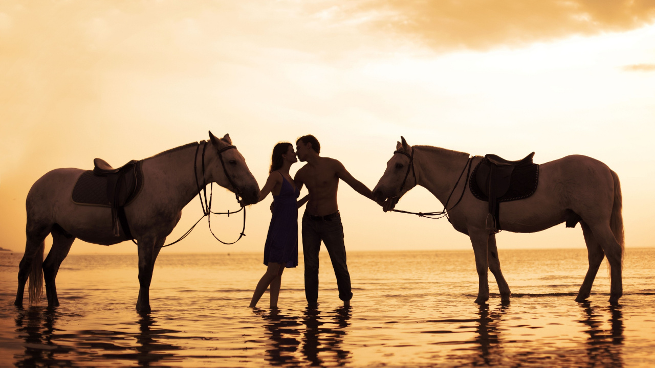 Обои конь, дружба, кобыла, жеребец, живая природа в разрешении 1280x720