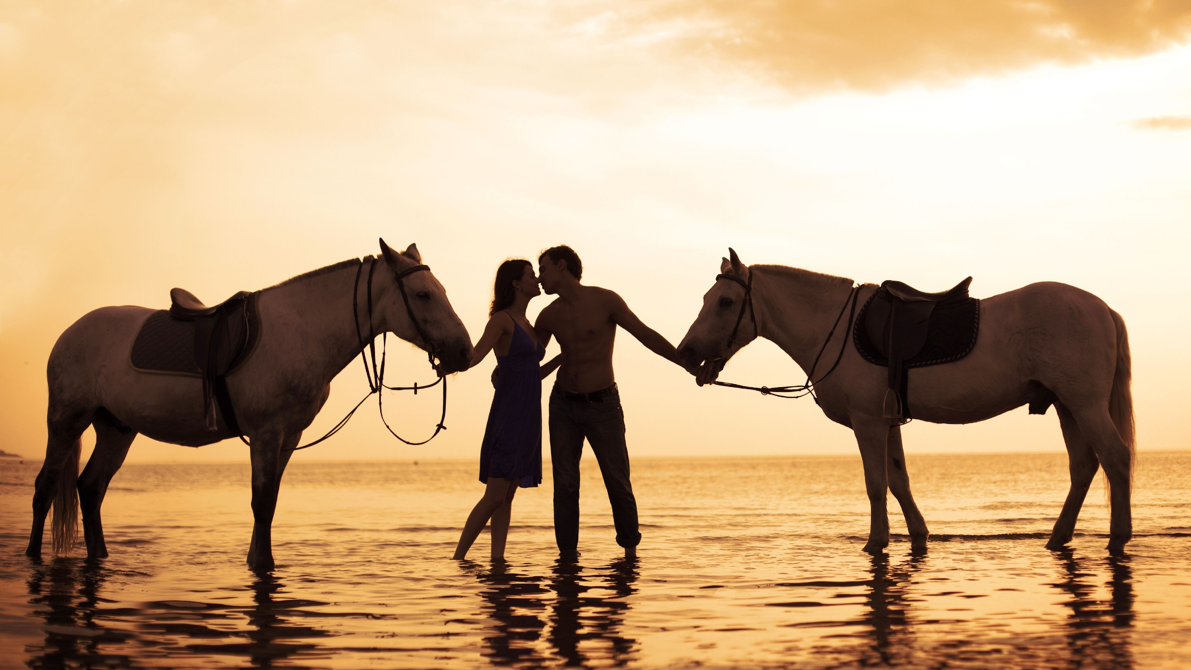 Обои конь, дружба, кобыла, жеребец, живая природа в разрешении 3840x2160