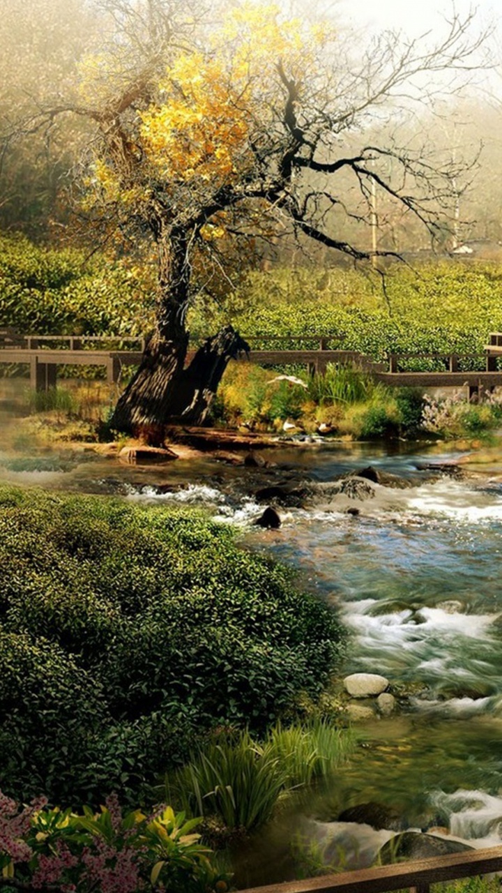 Обои пейзаж, природный ландшафт, природа, вода, растительность в разрешении 720x1280