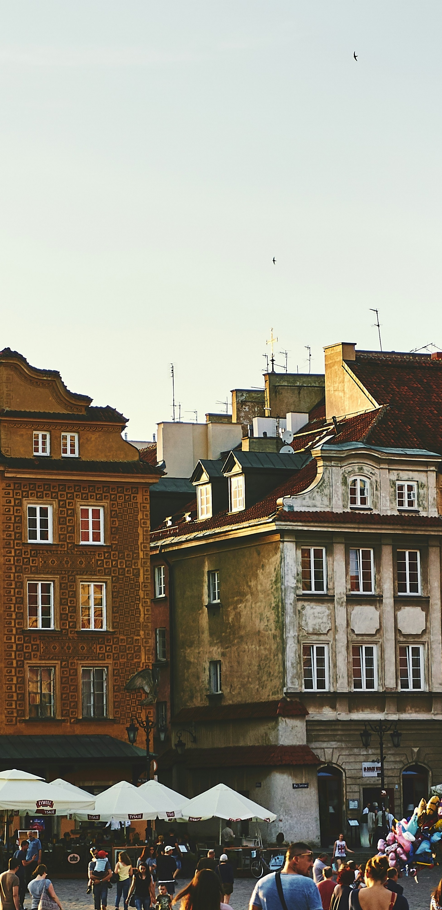 Обои здания европа, здание, туризм, путешествие, ок, доки, хостел в разрешении 1440x2960