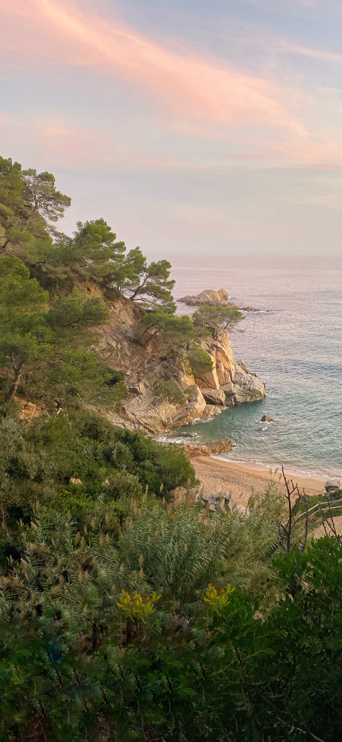 Обои побережье, растительность, берег, океан, Банк в разрешении 1125x2436