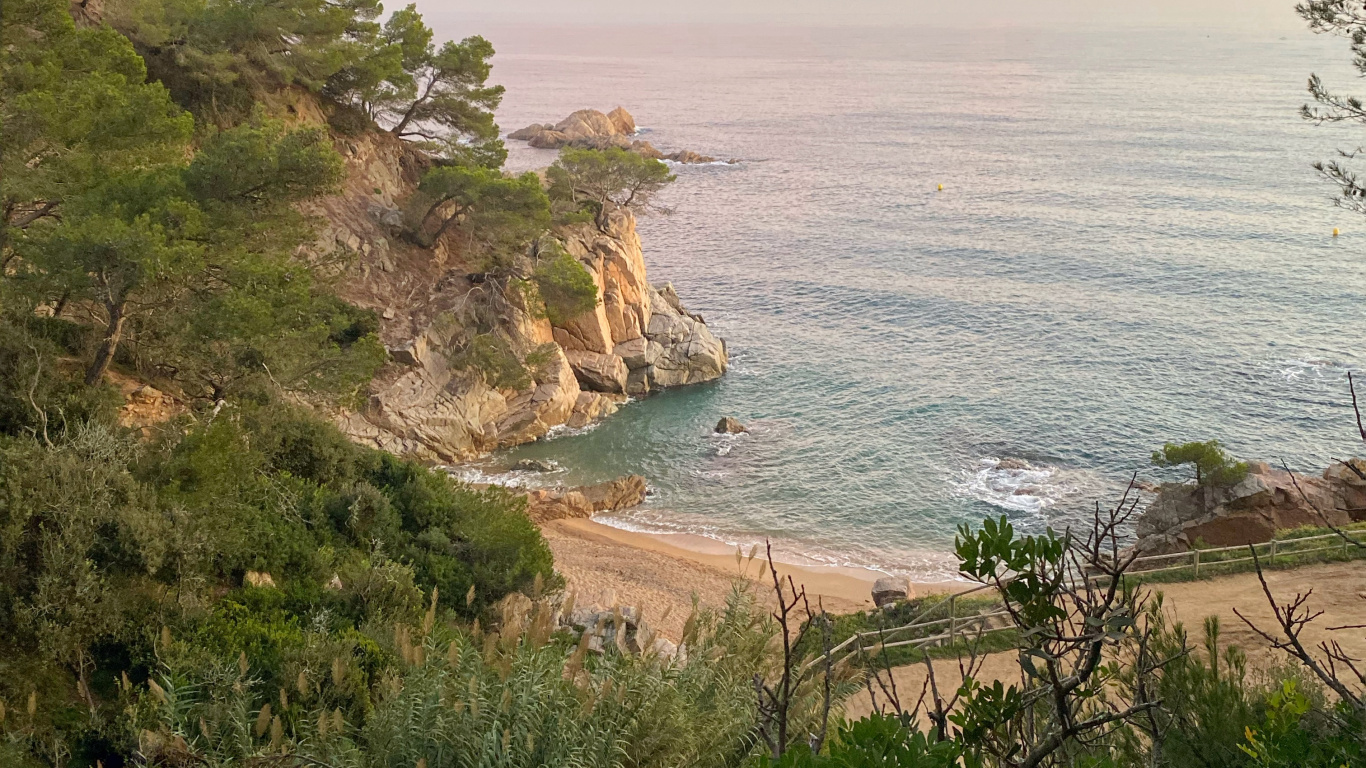 Обои побережье, растительность, берег, океан, Банк в разрешении 1366x768