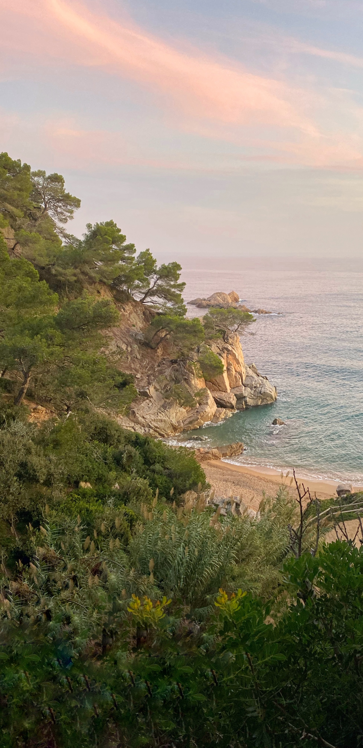 Обои побережье, растительность, берег, океан, Банк в разрешении 1440x2960