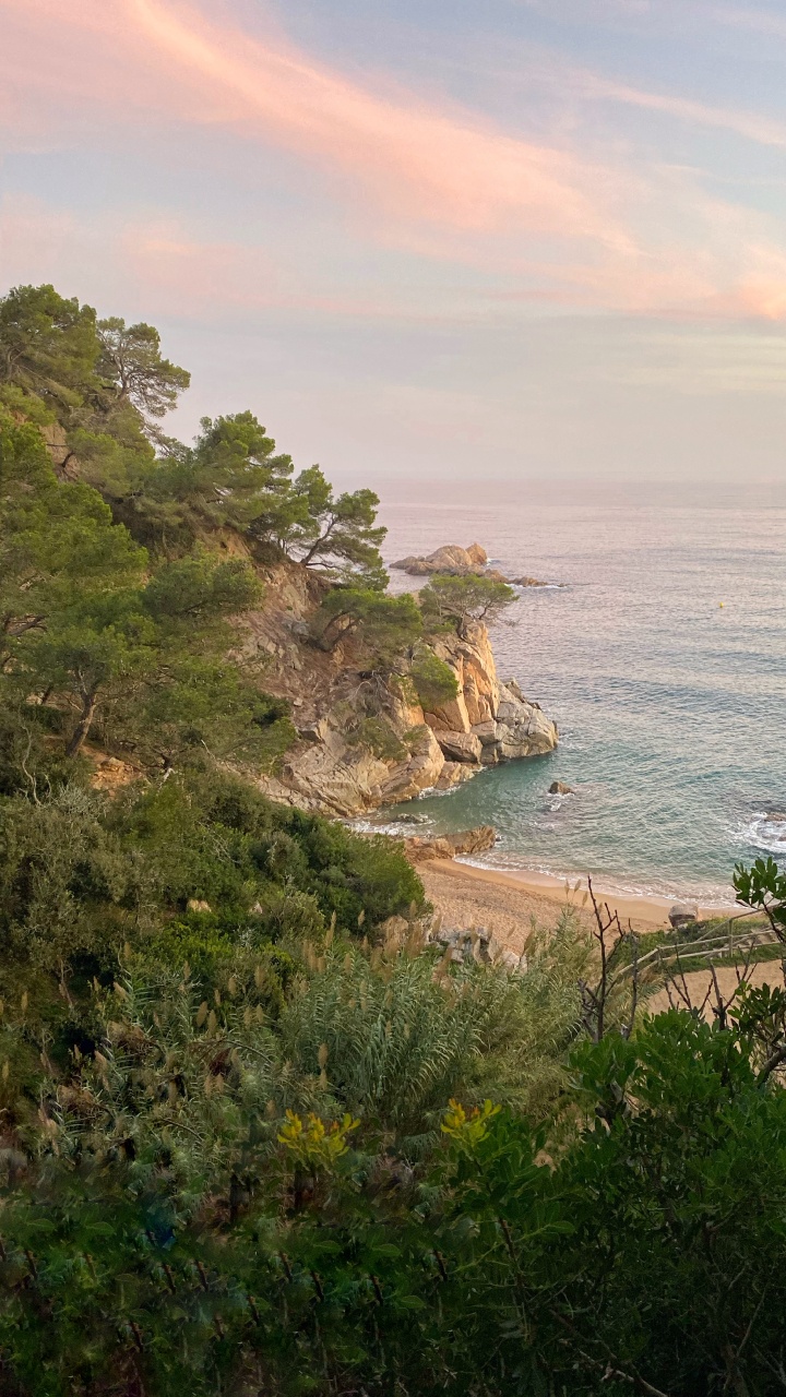 Обои побережье, растительность, берег, океан, Банк в разрешении 720x1280