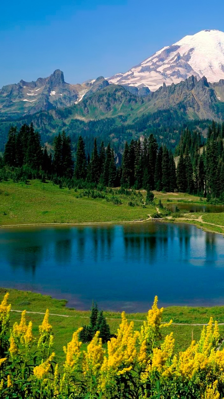 Обои Маунт рейнир, озеро tipsoo, национальный парк, парк, природа в разрешении 750x1334