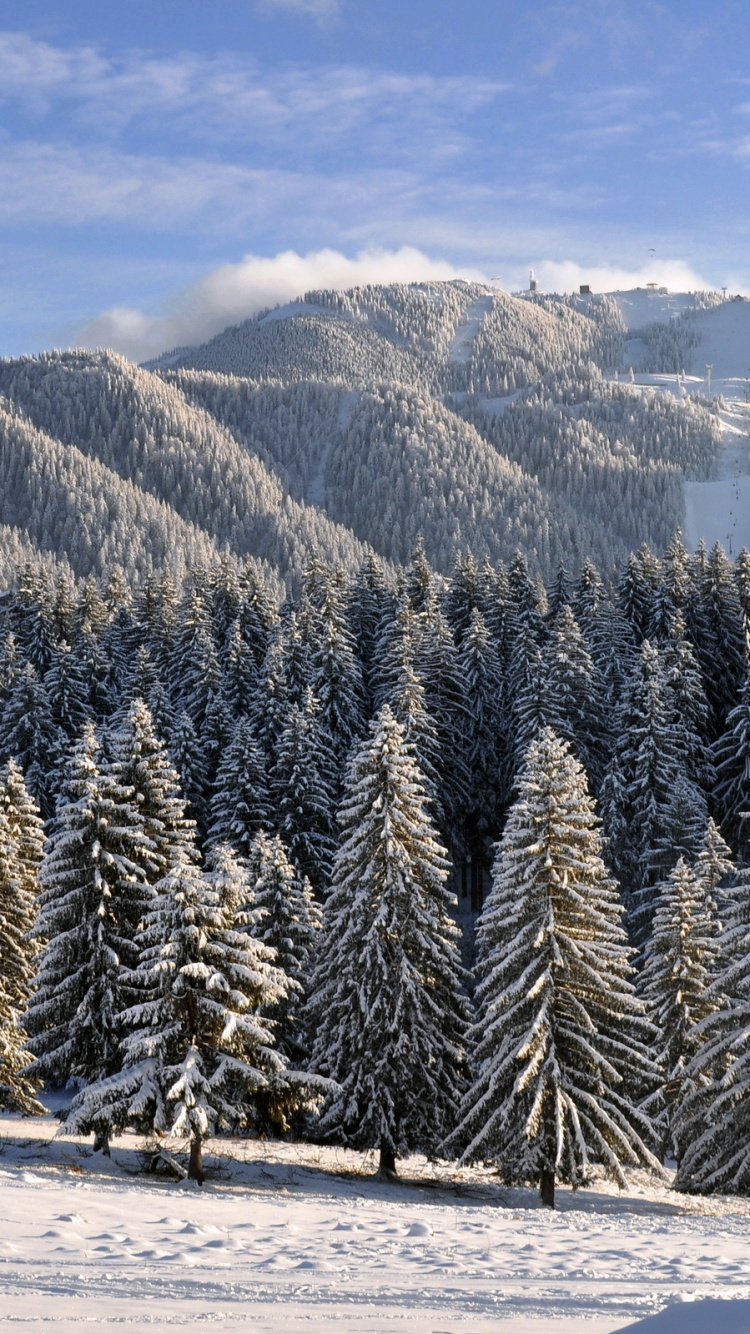 Обои зима, снег, природа, гора, дерево в разрешении 750x1334