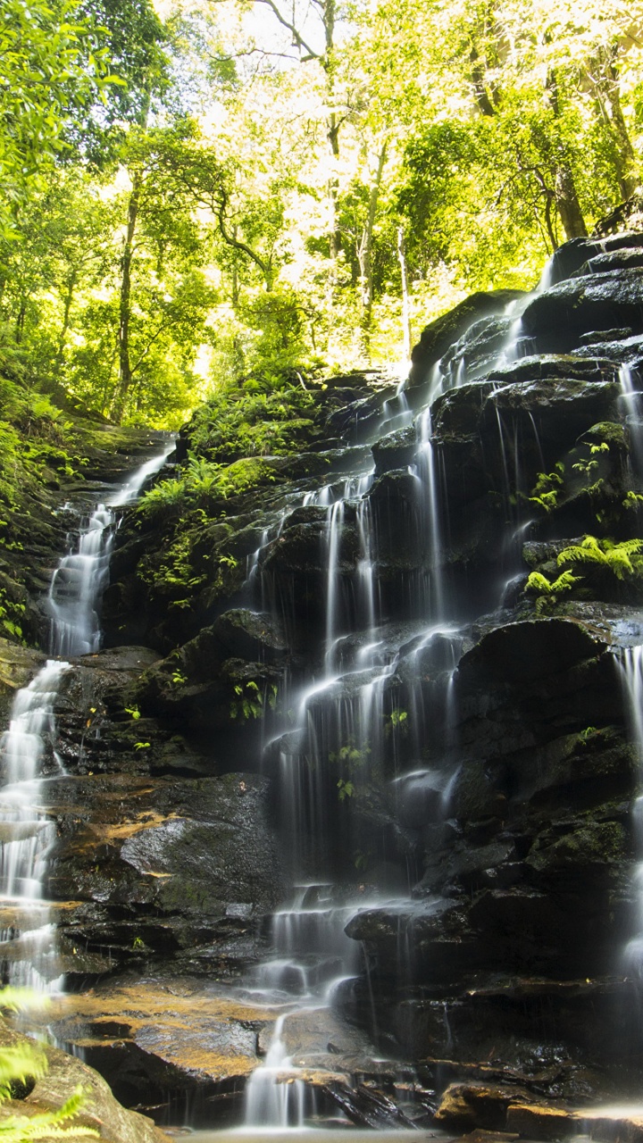 Обои Сильвия падает, Уэнтворт-Фолс, водопад, Сидней, водоем в разрешении 720x1280