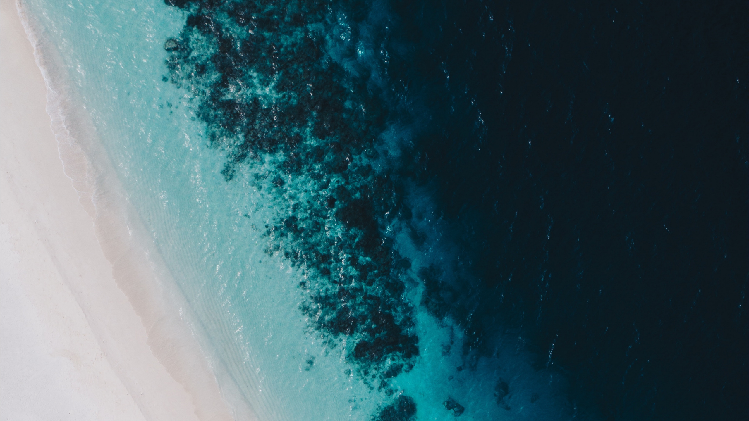 Обои синий, Аква, бирюза, атмосфера, зеленый в разрешении 2560x1440