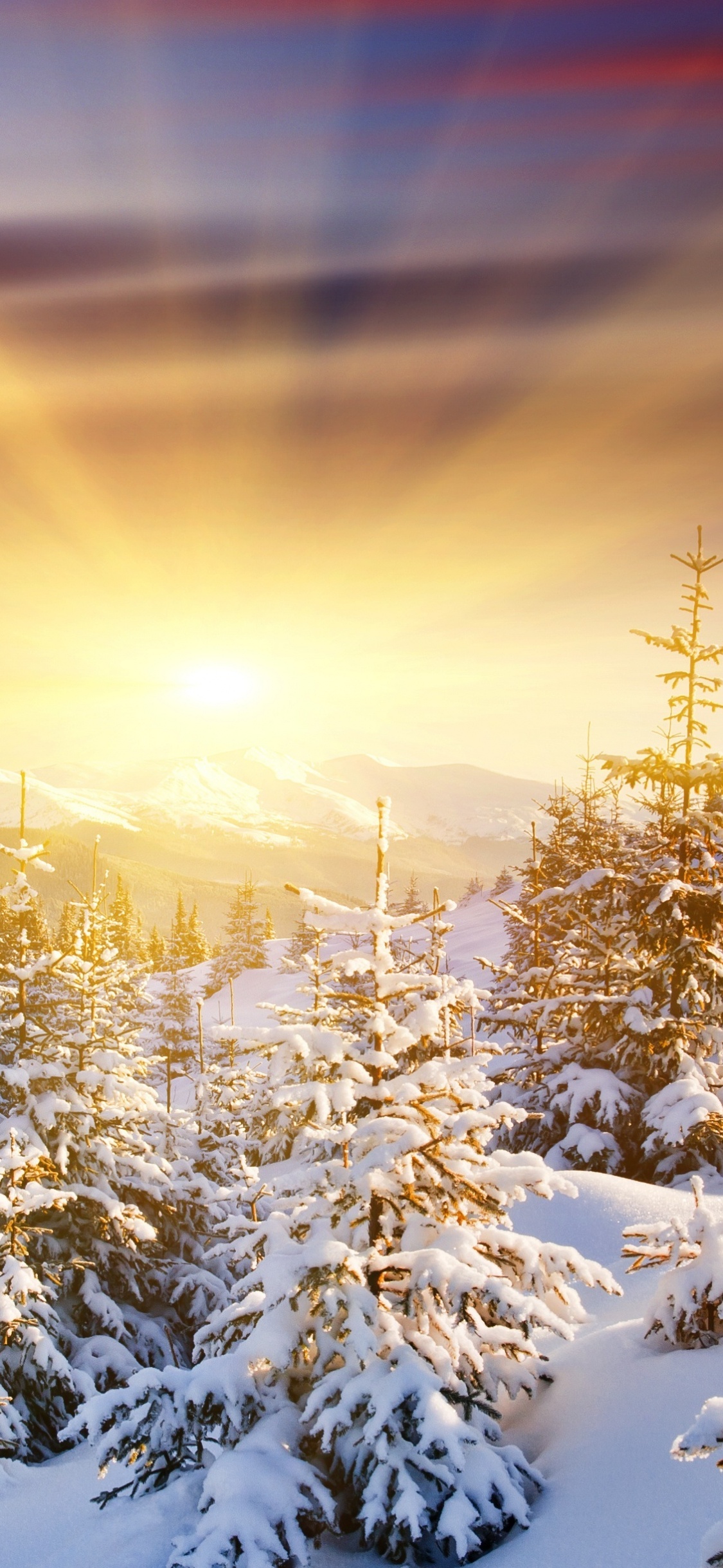 Обои восход солнца, зима, снег, природа, природный ландшафт в разрешении 1125x2436