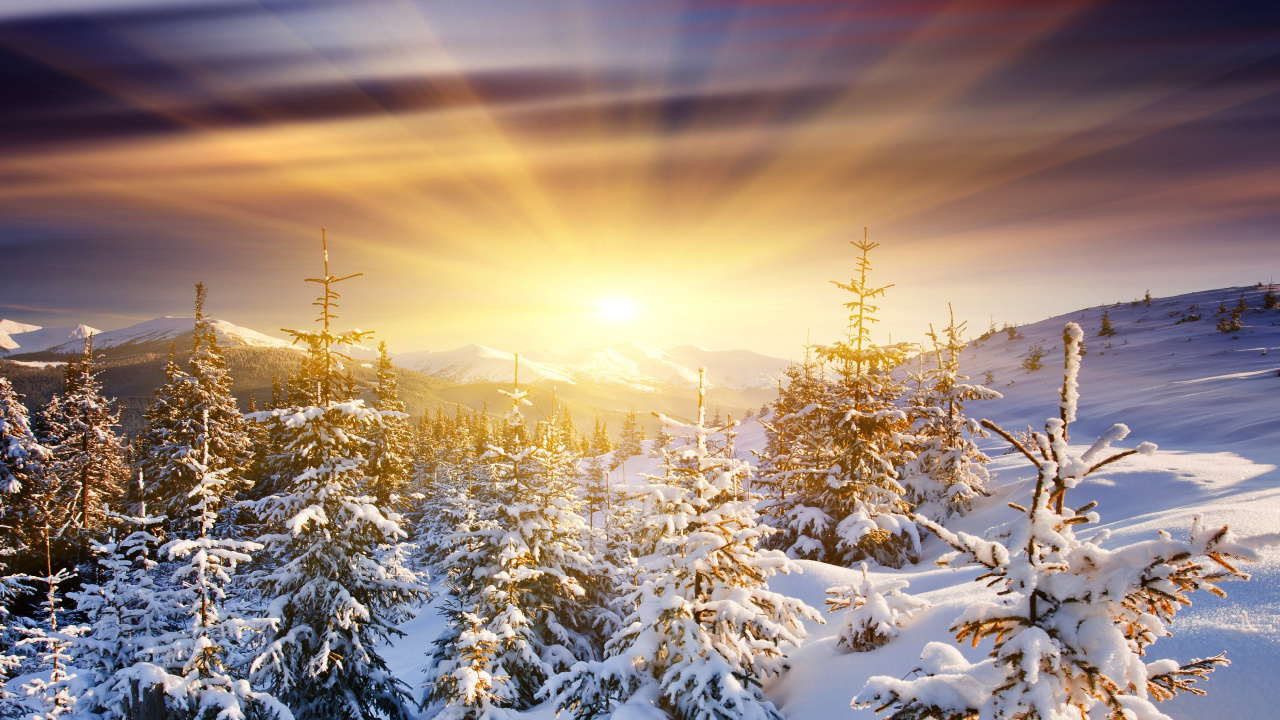 Обои восход солнца, зима, снег, природа, природный ландшафт в разрешении 1280x720