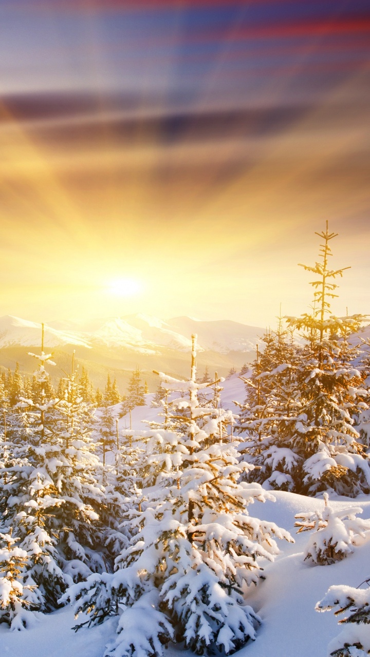 Обои восход солнца, зима, снег, природа, природный ландшафт в разрешении 720x1280