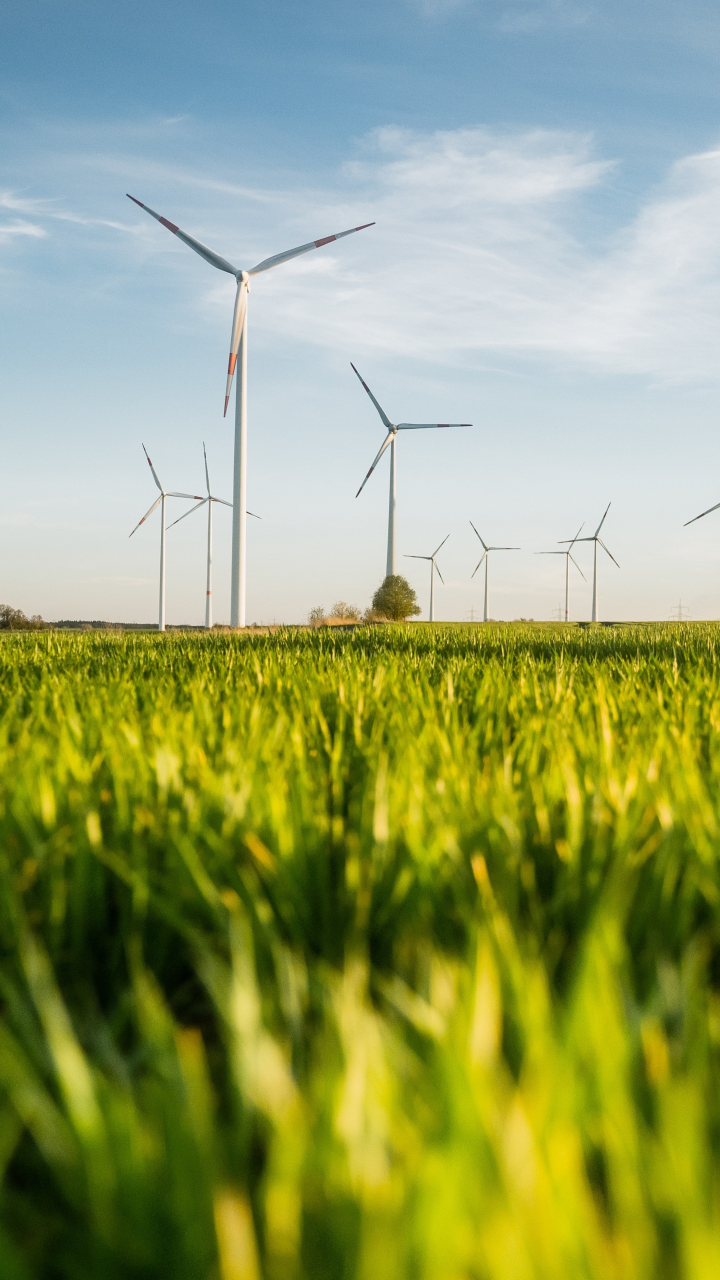 Обои сенокосное угодье, устойчивость, бизнес, ветряная мельница, облако в разрешении 1440x2560