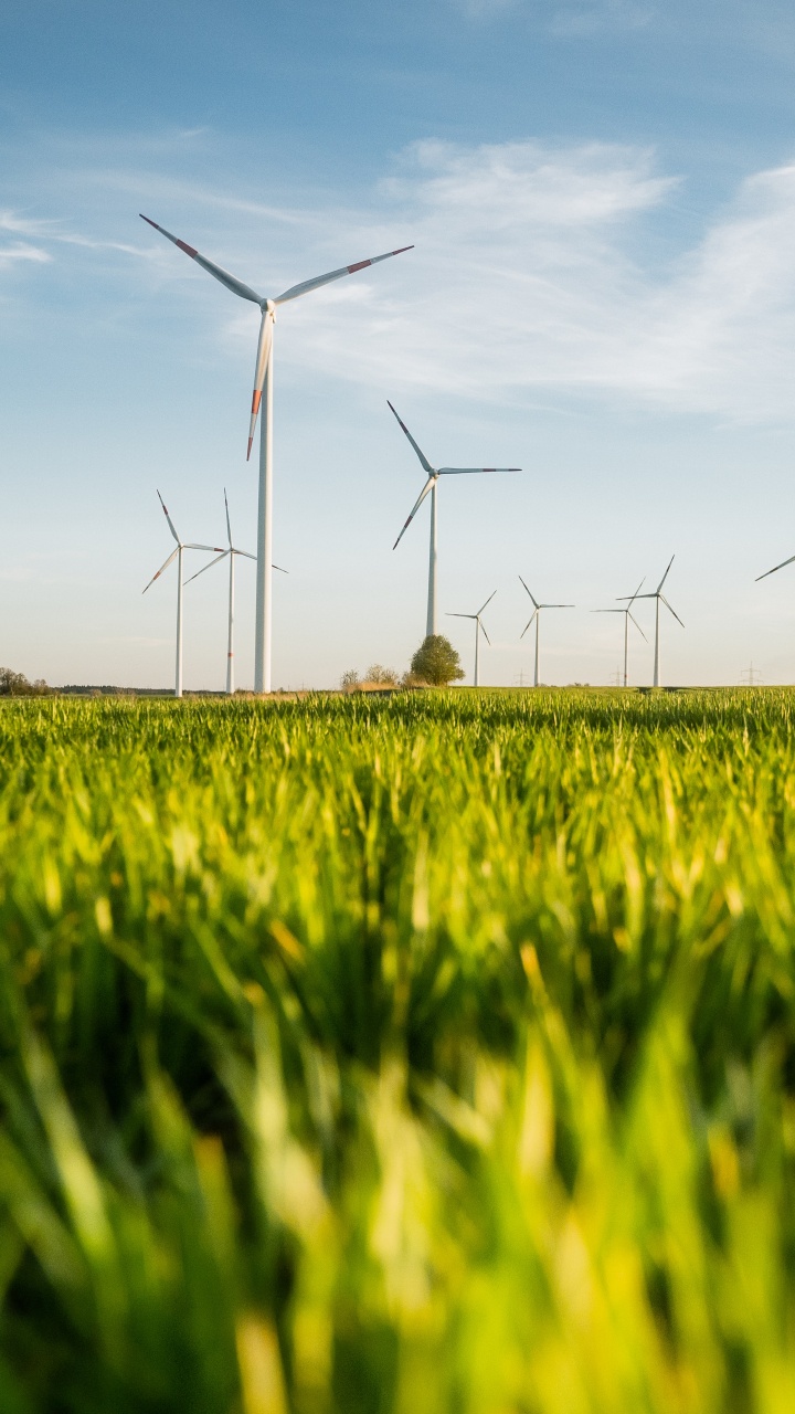 Обои сенокосное угодье, устойчивость, бизнес, ветряная мельница, облако в разрешении 720x1280