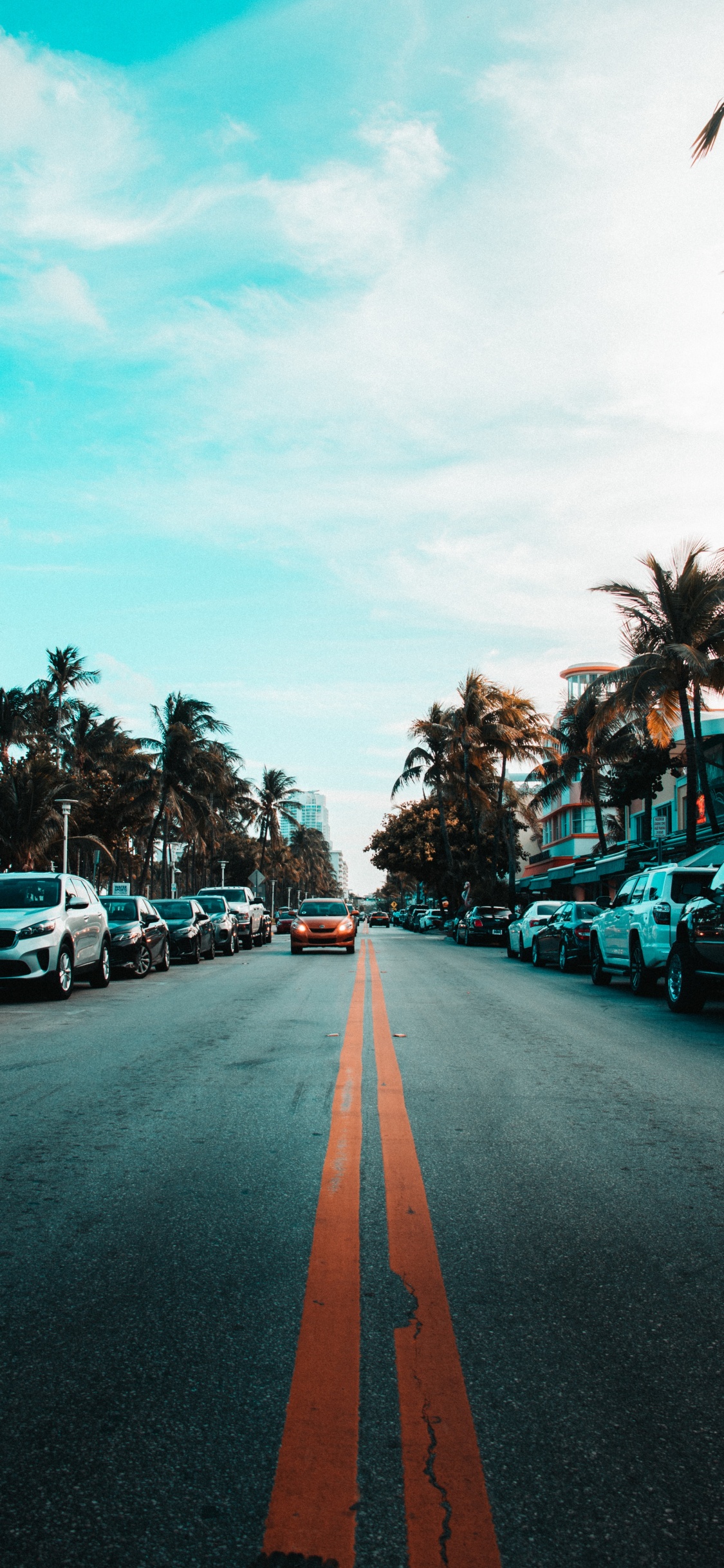 Обои дорога, дерево, переулок, асфальт, бирюза в разрешении 1125x2436