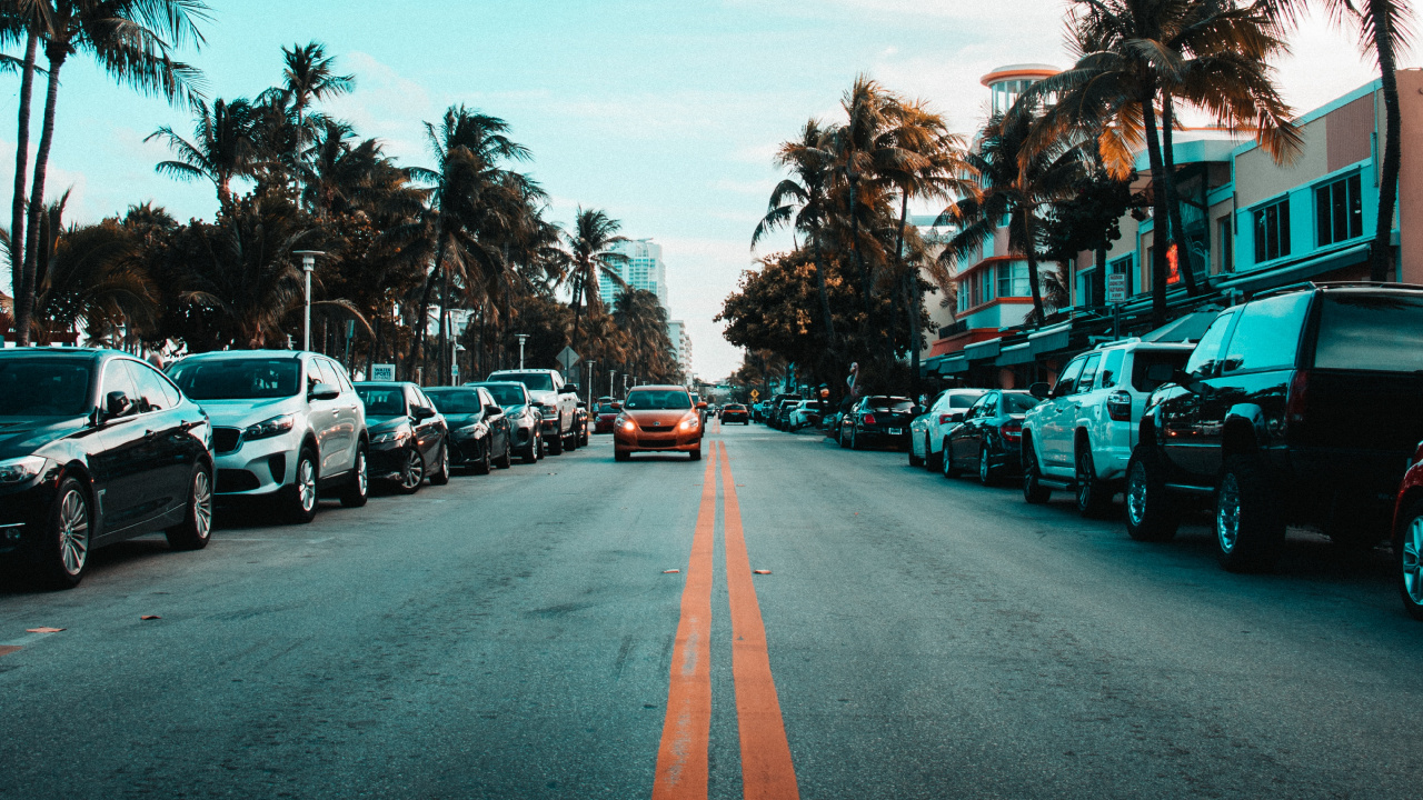 Обои дорога, дерево, переулок, асфальт, бирюза в разрешении 1280x720