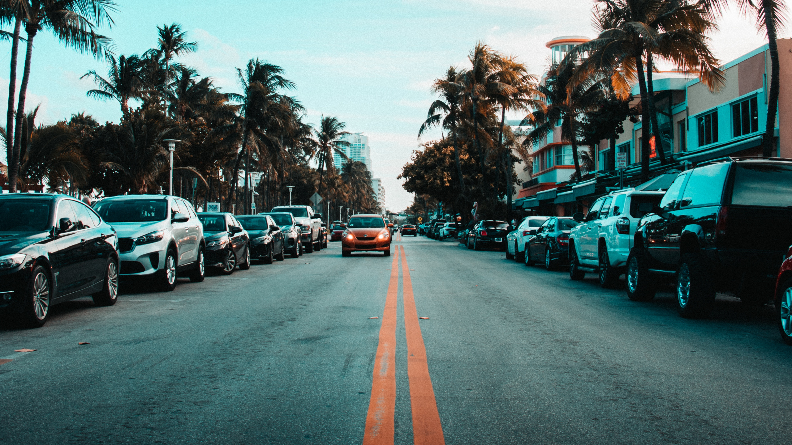 Обои дорога, дерево, переулок, асфальт, бирюза в разрешении 2560x1440