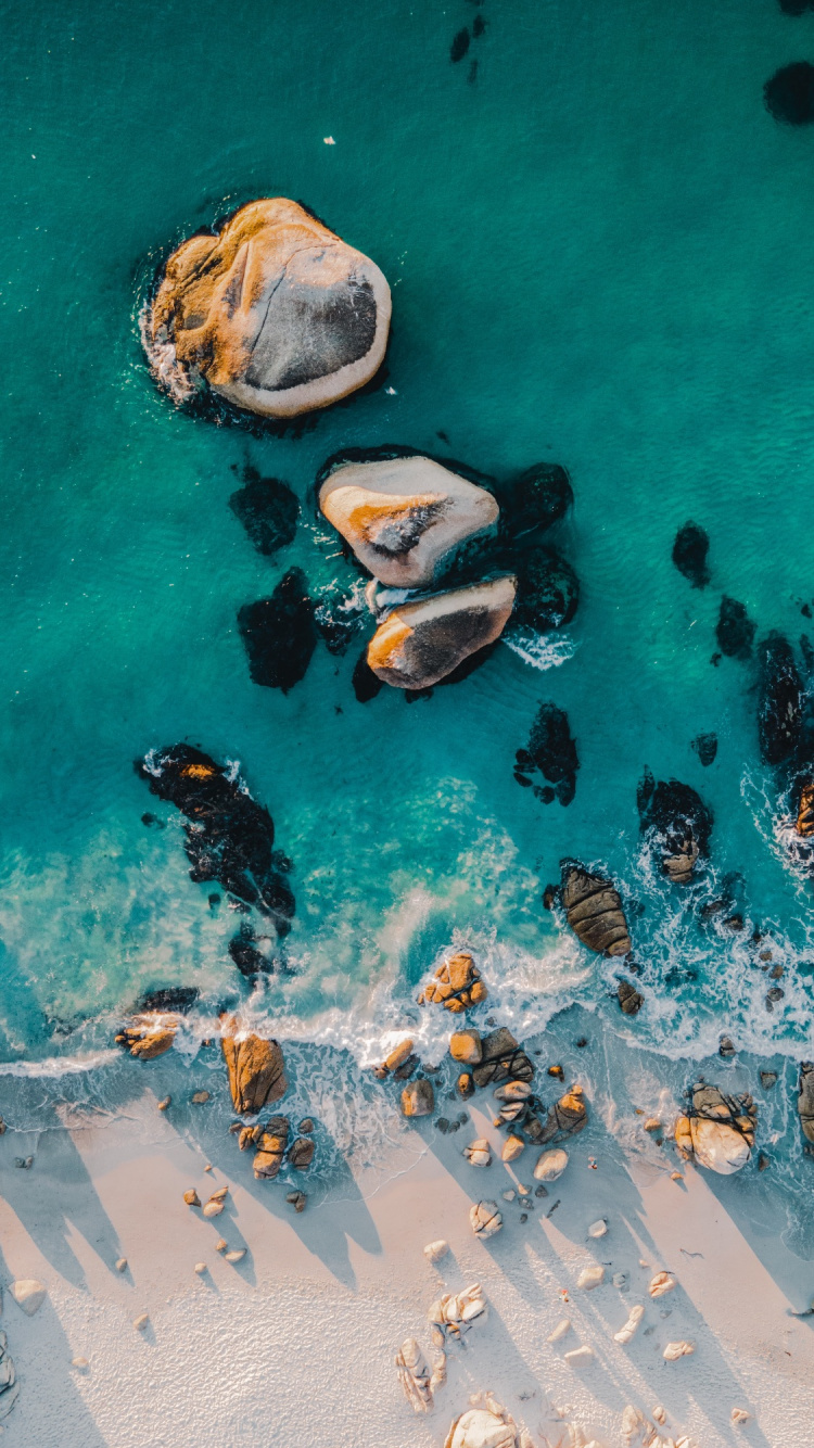 Обои яблоко, вода, Аква, рыба, досуг в разрешении 750x1334